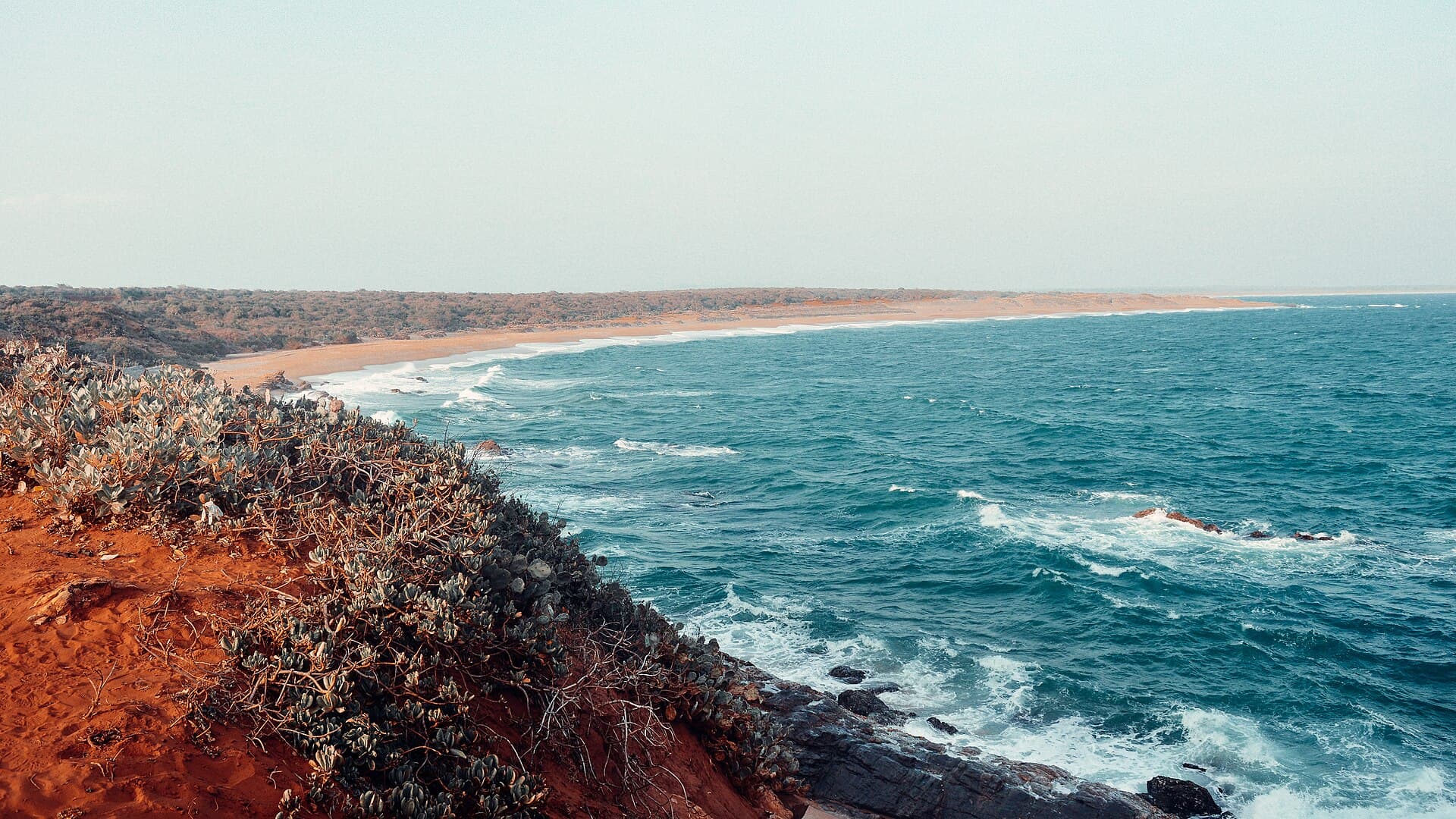 Wild Coast — Safari & Beaches