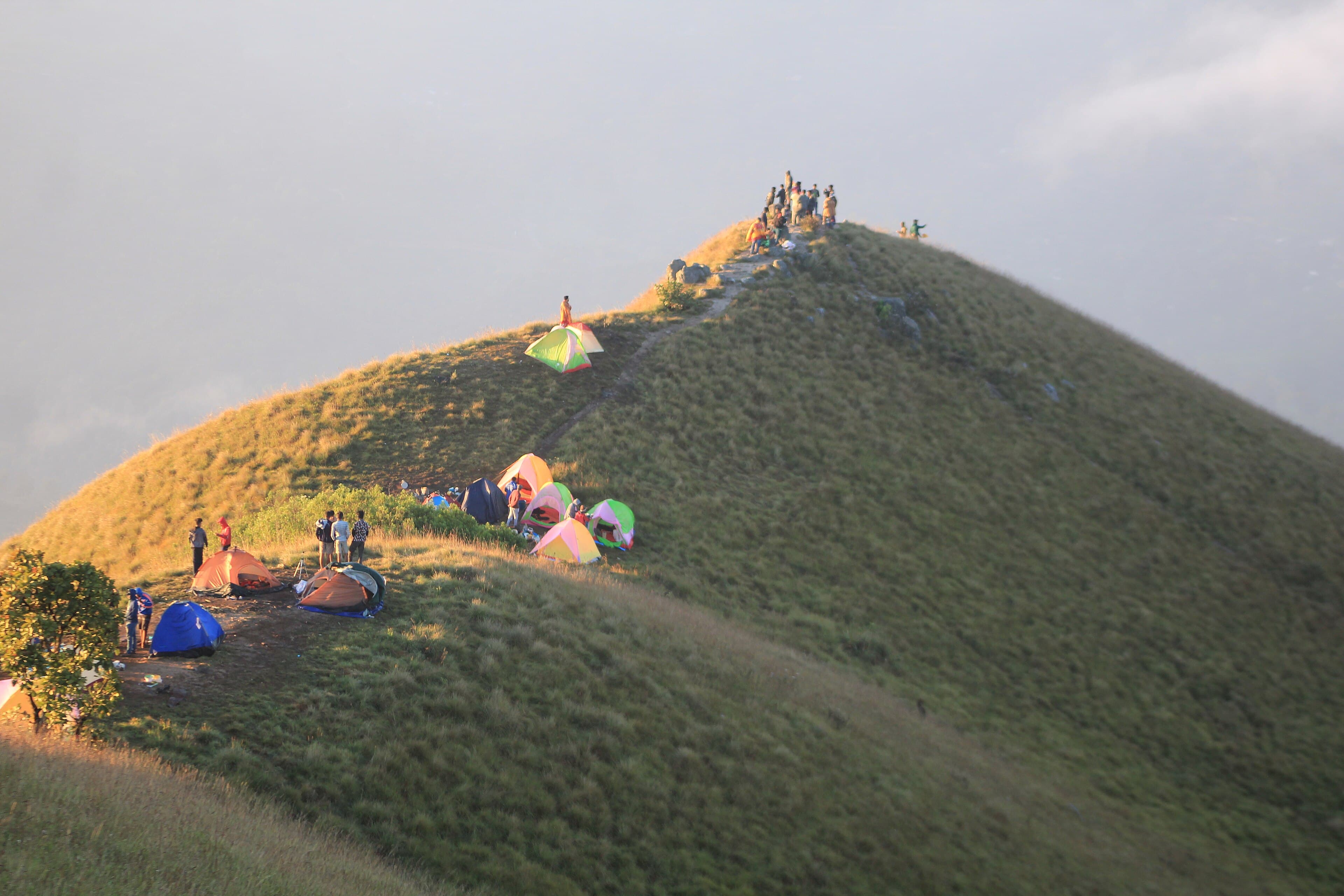 Tents pitched along the grass ridge at Narangala at sunrise, with hikers gathered on the summit beyond