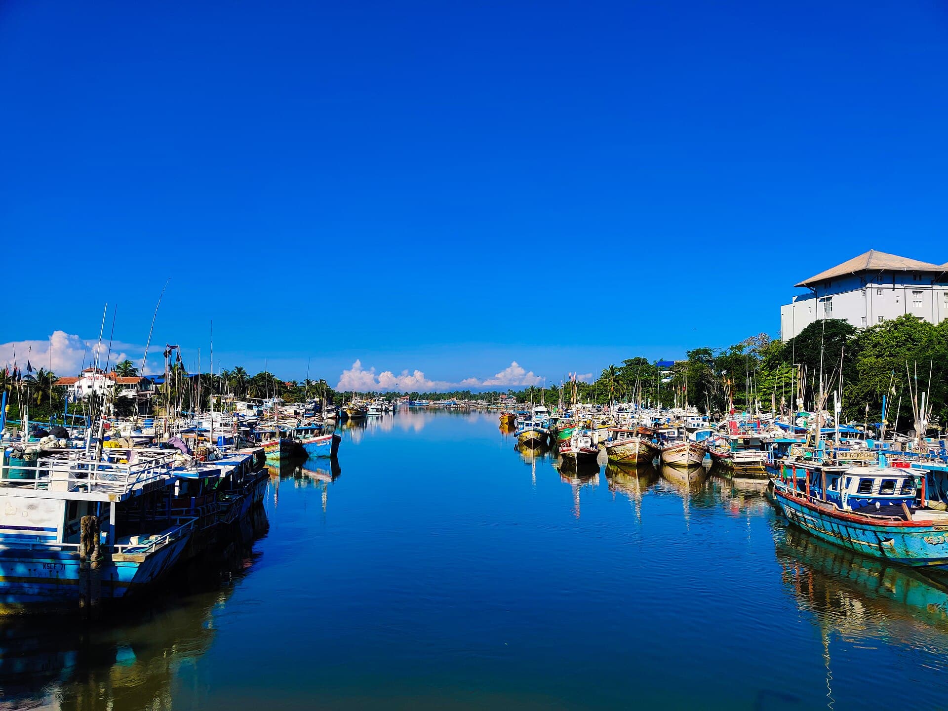 Fishing boats moored in Negombo lagoon