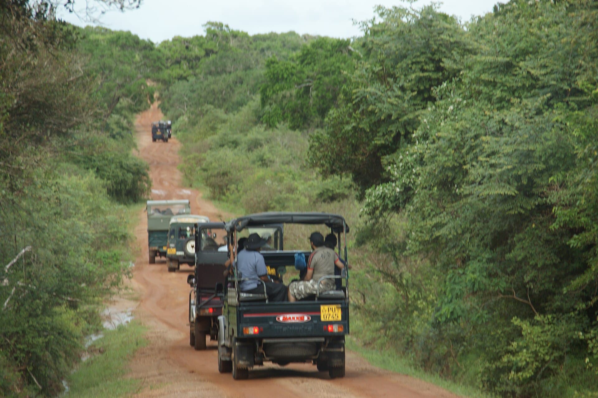 Safari Jeep 4×4