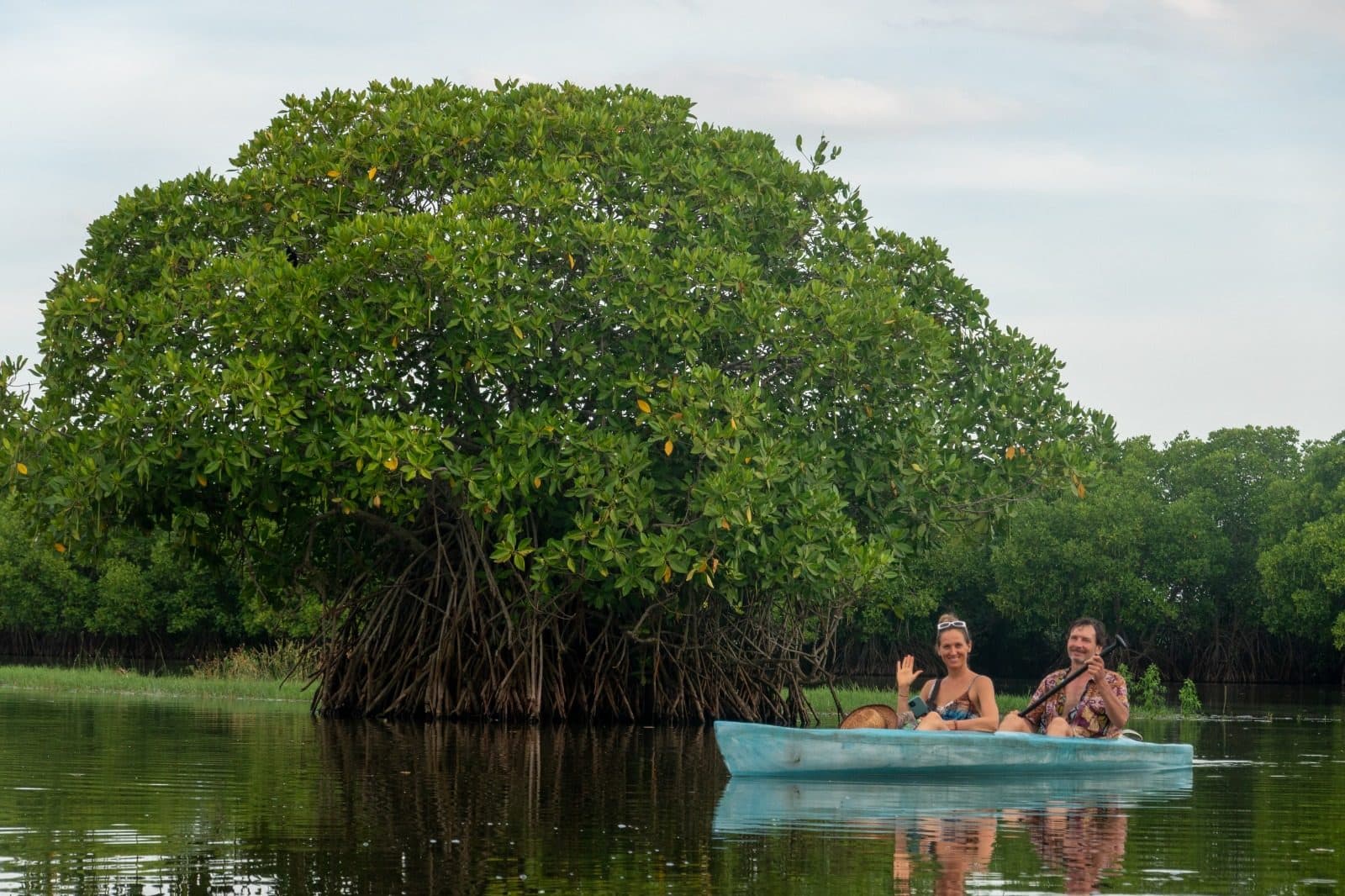 Travellers in a small boat beneath a mangrove canopy