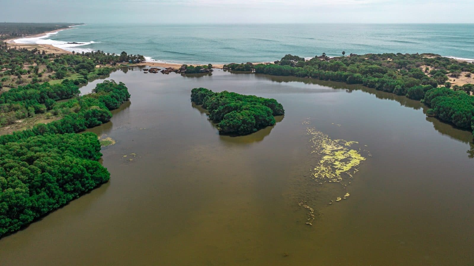 A mangrove-fringed lagoon meeting the sea